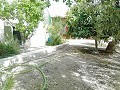 Lovely Villa in Ricabacica, Abanilla + olive grove in Partidor in Alicante Dream Homes API 1122