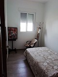 Lovely Villa in Ricabacica, Abanilla + olive grove in Partidor in Alicante Dream Homes API 1122
