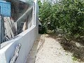 Lovely Villa in Ricabacica, Abanilla + olive grove in Partidor in Alicante Dream Homes API 1122