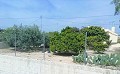 Lovely Villa in Ricabacica, Abanilla + olive grove in Partidor in Alicante Dream Homes API 1122