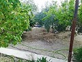 Lovely Villa in Ricabacica, Abanilla + olive grove in Partidor in Alicante Dream Homes API 1122