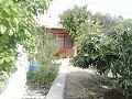 Lovely Villa in Ricabacica, Abanilla + olive grove in Partidor in Alicante Dream Homes API 1122