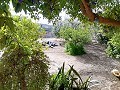Lovely Villa in Ricabacica, Abanilla + olive grove in Partidor in Alicante Dream Homes API 1122