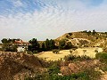 Lovely Villa in Ricabacica, Abanilla + olive grove in Partidor in Alicante Dream Homes API 1122
