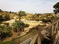 Lovely Villa in Ricabacica, Abanilla + olive grove in Partidor in Alicante Dream Homes API 1122