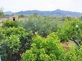 Lovely Villa in Ricabacica, Abanilla + olive grove in Partidor in Alicante Dream Homes API 1122