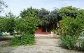Lovely Villa in Ricabacica, Abanilla + olive grove in Partidor in Alicante Dream Homes API 1122