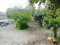Lovely Villa in Ricabacica, Abanilla + olive grove in Partidor in Alicante Dream Homes API 1122