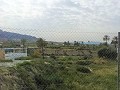 Lovely Villa in Ricabacica, Abanilla + olive grove in Partidor in Alicante Dream Homes API 1122