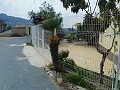 Lovely Villa in Ricabacica, Abanilla + olive grove in Partidor in Alicante Dream Homes API 1122