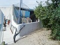 Lovely Villa in Ricabacica, Abanilla + olive grove in Partidor in Alicante Dream Homes API 1122
