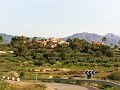 Lovely Villa in Ricabacica, Abanilla + olive grove in Partidor in Alicante Dream Homes API 1122