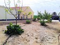 Lovely Villa in Ricabacica, Abanilla + olive grove in Partidor in Alicante Dream Homes API 1122