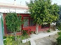 Lovely Villa in Ricabacica, Abanilla + olive grove in Partidor in Alicante Dream Homes API 1122