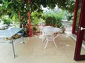 Lovely Villa in Ricabacica, Abanilla + olive grove in Partidor in Alicante Dream Homes API 1122