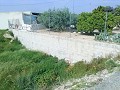 Lovely Villa in Ricabacica, Abanilla + olive grove in Partidor in Alicante Dream Homes API 1122