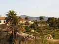 Lovely Villa in Ricabacica, Abanilla + olive grove in Partidor in Alicante Dream Homes API 1122