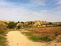 Lovely Villa in Ricabacica, Abanilla + olive grove in Partidor in Alicante Dream Homes API 1122