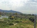 Lovely Villa in Ricabacica, Abanilla + olive grove in Partidor in Alicante Dream Homes API 1122