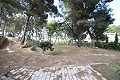 Trois maisons sur un terrain à Monovar in Alicante Dream Homes API 1122