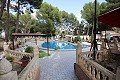 Trois maisons sur un terrain à Monovar in Alicante Dream Homes API 1122