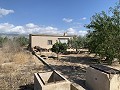 House to Reform in Caudete in Alicante Dream Homes API 1122