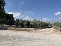House to Reform in Caudete in Alicante Dream Homes API 1122