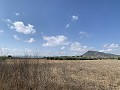 House to Reform in Caudete in Alicante Dream Homes API 1122