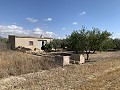 House to Reform in Caudete in Alicante Dream Homes API 1122