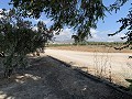 House to Reform in Caudete in Alicante Dream Homes API 1122