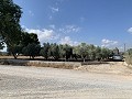 House to Reform in Caudete in Alicante Dream Homes API 1122