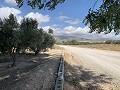 House to Reform in Caudete in Alicante Dream Homes API 1122