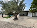 Villa 4 Chambres 2 Salles de Bain in Alicante Dream Homes API 1122