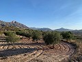 Baugrundstücke in Macisvenda in Alicante Dream Homes API 1122