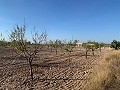 Building plot in Macisvenda in Alicante Dream Homes API 1122