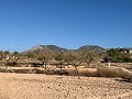 Building plot in Macisvenda in Alicante Dream Homes API 1122