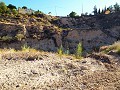 Maison de 12 chambres à Mahoya, Murcie in Alicante Dream Homes API 1122