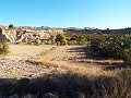 Maison de 12 chambres à Mahoya, Murcie in Alicante Dream Homes API 1122