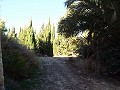 Maison de 12 chambres à Mahoya, Murcie in Alicante Dream Homes API 1122