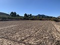 Casa de campo con vistas incredible in Alicante Dream Homes API 1122