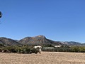 Casa de campo con vistas incredible in Alicante Dream Homes API 1122