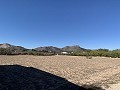 Casa de campo con vistas incredible in Alicante Dream Homes API 1122