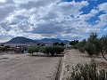 Semi-detached country house in La Romana in Alicante Dream Homes API 1122