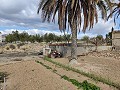 Semi-detached country house in La Romana in Alicante Dream Homes API 1122