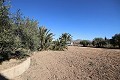 Grande Villa Individuelle à Aspe in Alicante Dream Homes API 1122