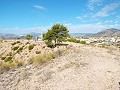 Prachtig uitzicht vanaf dit perceel in Macisvenda in Alicante Dream Homes API 1122
