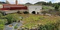 Spacious Cave House Walking Distance To La Romana in Alicante Dream Homes API 1122