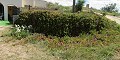 Spacious Cave House Walking Distance To La Romana in Alicante Dream Homes API 1122
