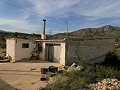 3-Bett-Landhaus & Lagerdepot 10 Minuten zu Fuß von der Stadt Barinas entfernt in Alicante Dream Homes API 1122