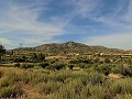 3-Bett-Landhaus & Lagerdepot 10 Minuten zu Fuß von der Stadt Barinas entfernt in Alicante Dream Homes API 1122